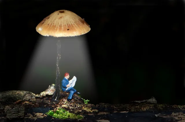 tiny people, kleine, kleine welt, mini, pilzlaterne, tiny people, tiny people, tiny people, tiny people, tiny people, kleine welt, kleine welt, kleine welt, kleine welt, kleine welt. Barrierefreie Geschäftsräume planen: Normen und Anforderungen